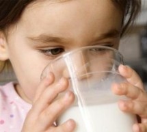 شیر بەرگریی مەینی خوێن لە دڵە خوێنبەردا دەكات