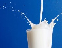 ئیعجاز لە پێكهاتەی شیر وە بەهای خۆراكــی لەقورئانی پیرۆزدا …